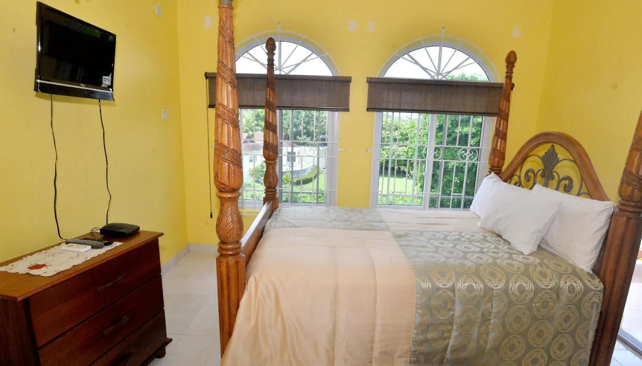 *** Bed and Breakfast Basileia Palace Μοντέγκο Μπέυ Τζαμάικα